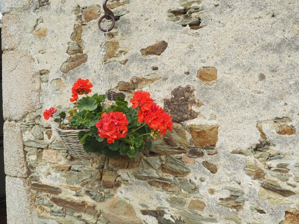 Les Grands-Aulnais Bed & Breakfast Cossé-le-Vivien Exterior foto